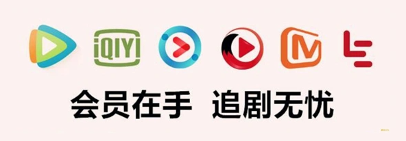 哔哩哔哩大会员一手货源渠道分析